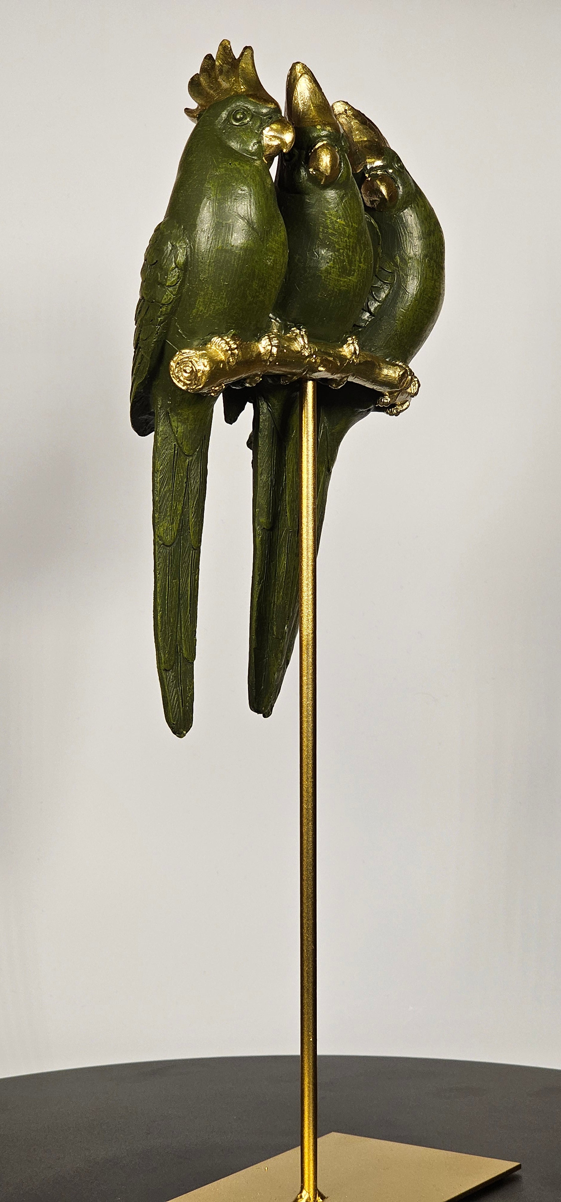 تحفة الطيور - Astro Store