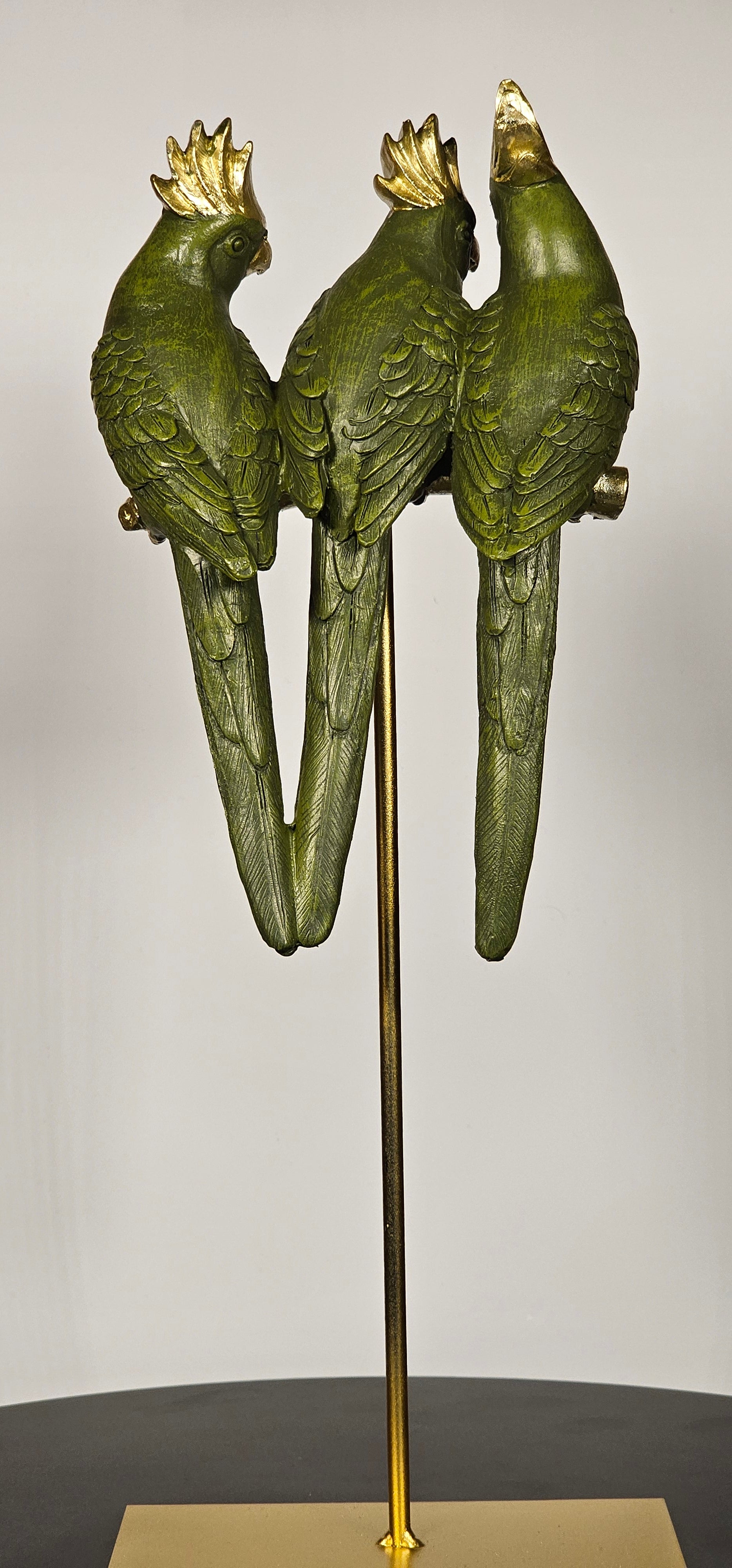 تحفة الطيور - Astro Store