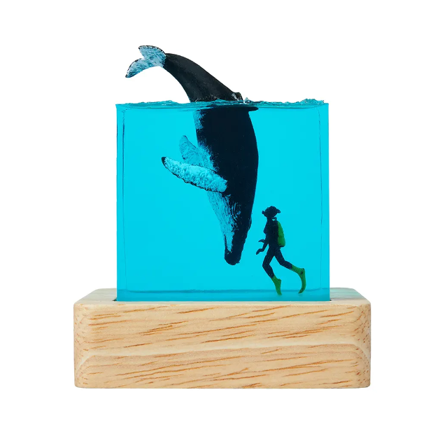 Home Decor - Astro Store