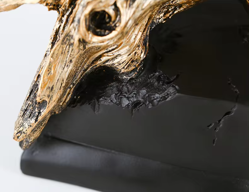 تحفة راس الحصان - Astro Store